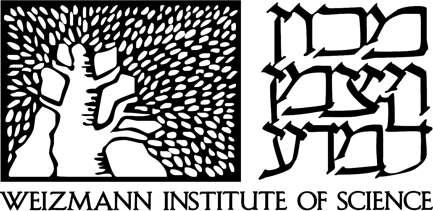 WIS_logo
